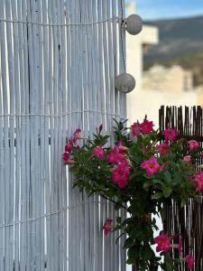 Eagles Nest Acropolis View