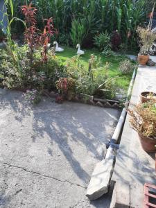 juneli raat homestay pokhara