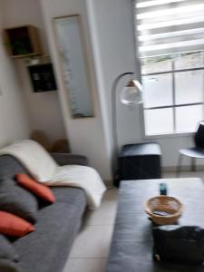 Appartements Studio neuf a louer a Dinard 3 nuits minimum : Studio