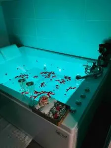 (2) La suite Premier Cru 3km de Beaune - 绍雷莱博恩