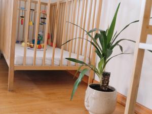 Ubytování u Slunských