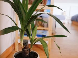 Ubytování u Slunských