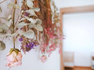 Ubytování u Slunských