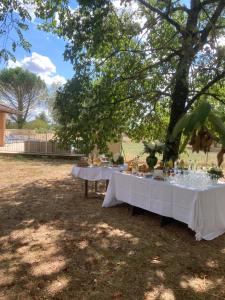 Villas Domaine de Menerque - petit chateau avec piscine : photos des chambres