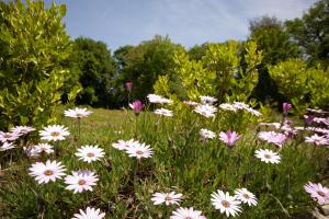 Maisons de vacances Lavender Breeze Crec-heur Retreat : photos des chambres