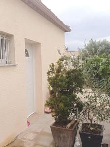 Appartements Studio : photos des chambres