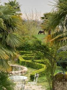 Villas Domaine de Menerque - petit chateau avec piscine : photos des chambres