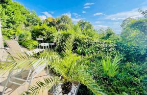 Apartment Blue&Green 