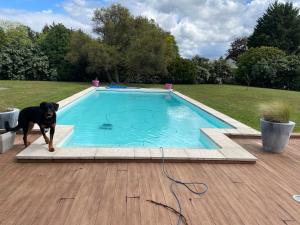 Sejours chez l'habitant Maison Proche de Le Mans Classique : photos des chambres