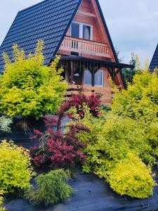 Bies-Czaderskie Chaty