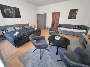 Černý Tulipán - Apartmán 1 - Skvrňany
