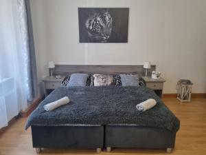 Černý Tulipán - Apartmán 1