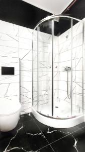 APARTAMENTY Charzykowy