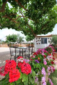 Guest House Gerard