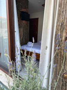 Pupa Alaçatı Butik Otel