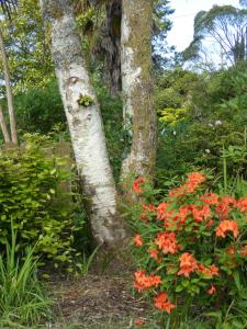 Rodeen Country House