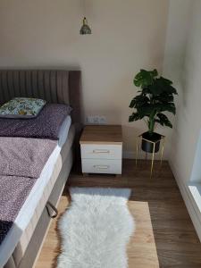 Apartament 3 pokojowy lub pokój w mieszkaniu w nowym bloku