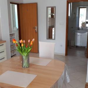 La Gatta Apartmani 
