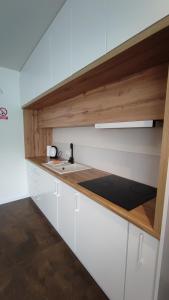 Apartments Venterivka 1