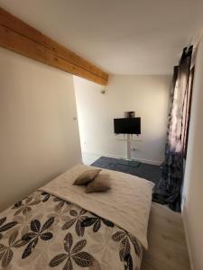 Appartements Charmant Duplex au coeur du village : photos des chambres