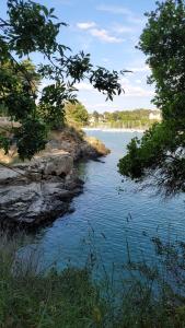 Appartements Au coeur de Pornic : photos des chambres