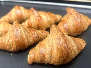 HOTEL GLAN Ys KUMAGAYAEKIMAE premier