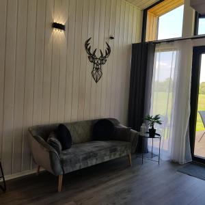 DOMKI POD DĘBAMI , Radawa