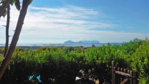 Costa Smeralda Apartment