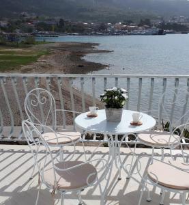 La Gatta Apartmani 