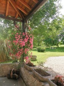 Maisons de vacances Le Hameau de Galice : photos des chambres