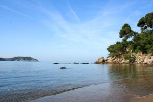 Appartements Magnifique petit cocon bord de mer- Lesclesdenicole : Appartement 1 Chambre