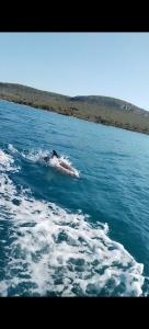 Isolated, 30m to sea, Viktoria s cottage