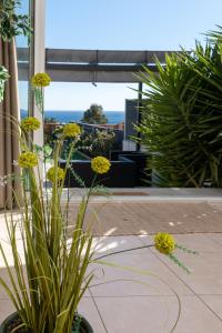 Appartements Face a la mer superbe villa terrasse barbecue LE PRADET : photos des chambres