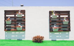 Tree House - Casa Figueira