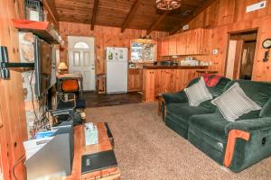 Owl Cabin - Sierra style cabin located on a quiet road in Fawnskin and backs up to National Forest!