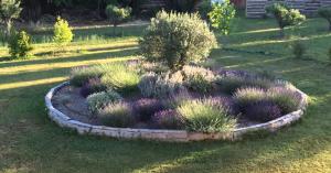 Villas VILLA NIMES BARTHEROES 3 Chambres : photos des chambres