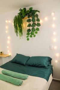 Nativo House amplio y acogedo