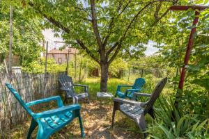 Appartements Rue Bien Assis avec jardin terrasse : photos des chambres