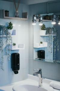 Appartements Rue Bien Assis avec jardin terrasse : photos des chambres
