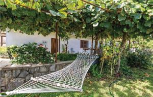 Beautiful Apartment In Ika With Wifi