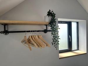 The Annex Glastonbury Tor View