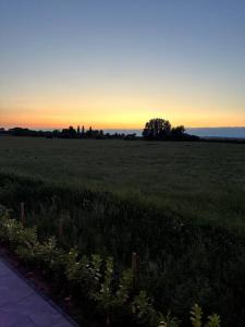 The Annex Glastonbury Tor View