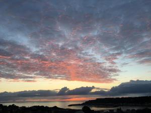 Villas Les Palmiers : photos des chambres