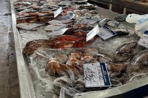 Casa Santiago & Mafalda Lux Home