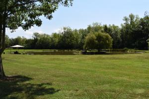 Appartements Le Cast'L 2 Coin de paradis en bord de Dordogne : photos des chambres