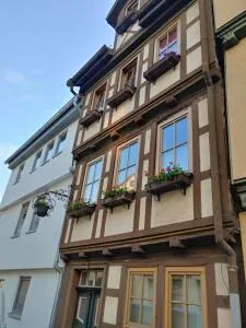 Haus Blumenampel - Schwallungen