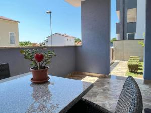 Apartman M