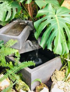 Residencial Bajo con jardín y jacuzzi privado Calahonda Royale