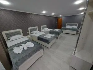 Hotel Rabat Castle - 阿巴斯图马尼