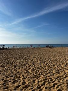A CASA di ROSA,fronte spiaggia, piscina,parcheggio